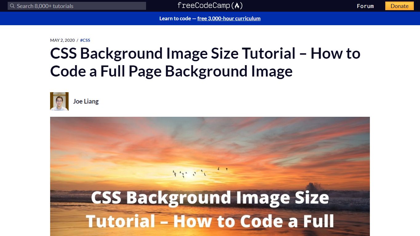 CSS Background Image Size Tutorial – How to Code a Full Page Background ...